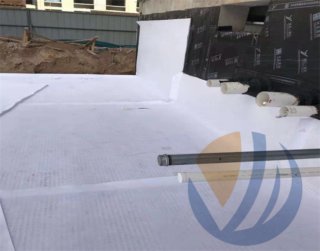 濱州齊鴻橄欖郡